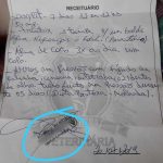 receita-veterinario-falso