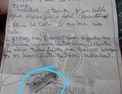 Conselho denuncia falso veterinário que atendia na Grande Natal