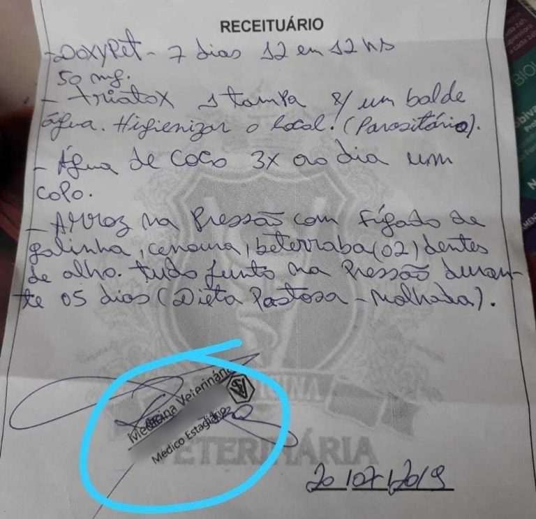 receita-veterinario-falso