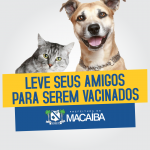 b4b8b86ea4de720973211bffce8b3a2c
