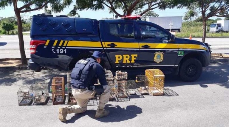 prf