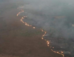 Grupo de WhatsApp contratou motoqueiros para incendiar floresta