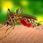 ZIKA