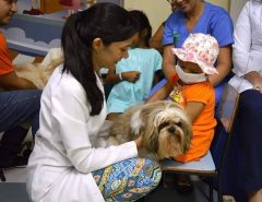 Vereadores aprovam projeto que permite visita de animais a pacientes internados em hospitais de Natal