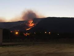 Incêndios florestais provocam decreto de situação de emergência