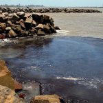 manca-oleo-praia-nordeste-1024x444