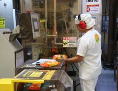 Índice de geração de empregos em outubro no RN é o segundo maior do Brasil