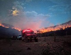 Após seis dias, bombeiros controlam incêndio florestal no interior do RN