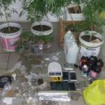 laboratorio