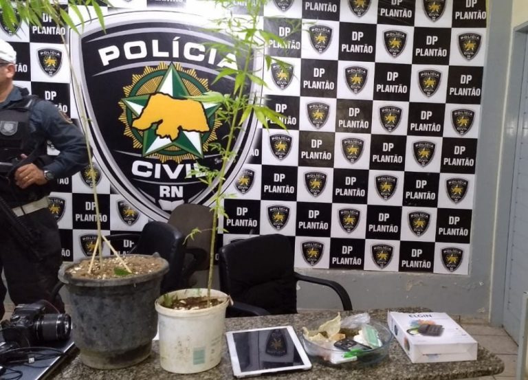 maconha