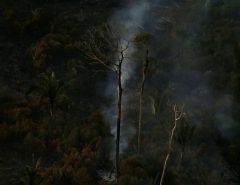 Avanço: Amazônia tem menor número de queimadas em outubro desde 1998