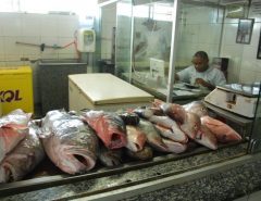 Mesmo com preços estáveis, pescados seguem fora da ceia
