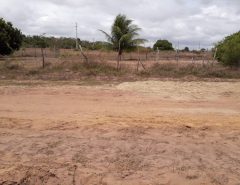 Dois corpos são achados em estrada de terra na Grande Natal