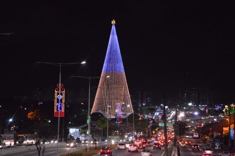 Arvore-de-Natal-Mirassol-138-1024x681
