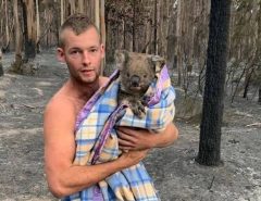Coragem: Jovem é tratado como herói na Austrália por desafiar fogo para salvar nove coalas