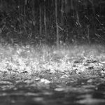 chuva