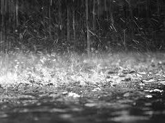 RN registra chuvas acima de 150 mm