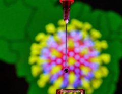 Pânico: Sobe para 69 o número de casos do novo coronavírus no Brasil