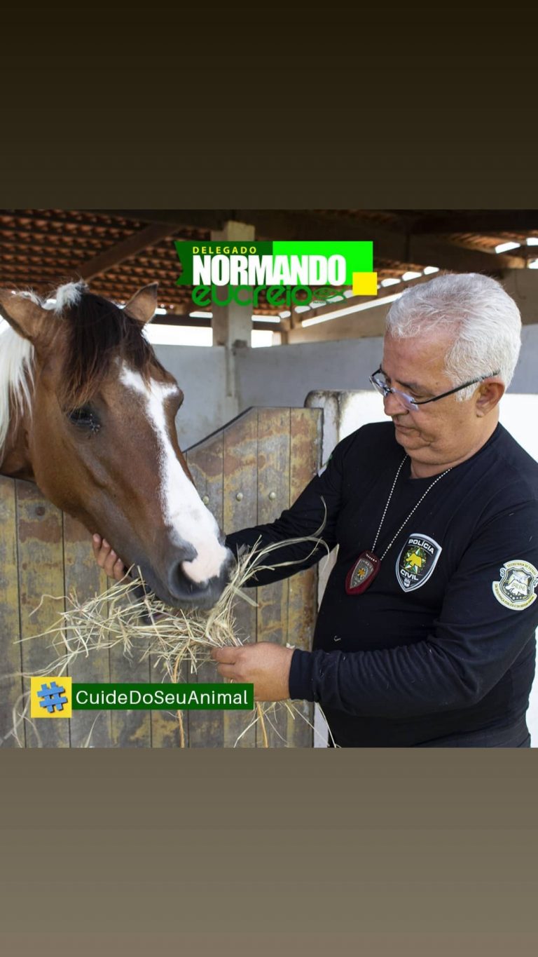 normando delegando