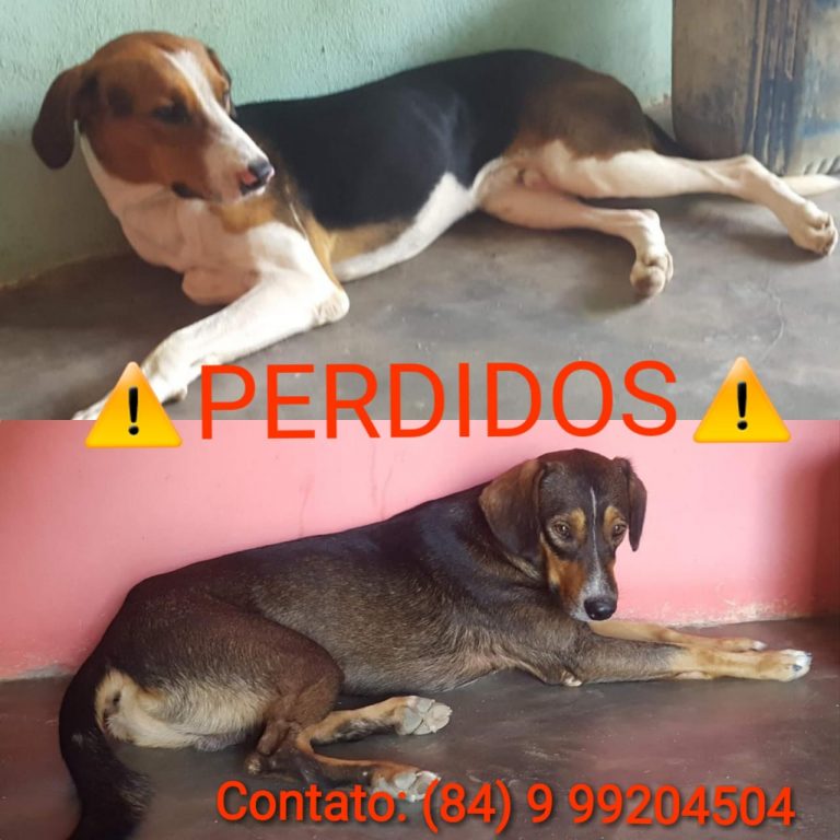 WhatsApp Image 2020-06-08 at 22.40.45