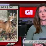 Nota de 20 reais