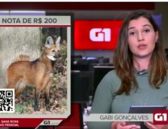 Nova cédula de 200 Reais vai ser lançada em agosto