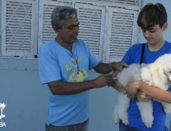 Campanha de vacinação antirrábica começa em Macaíba