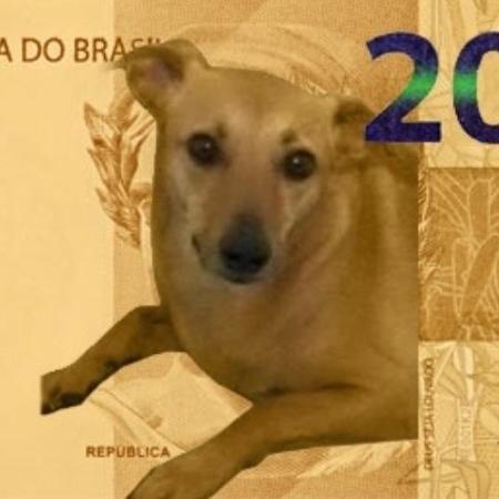 Viralata