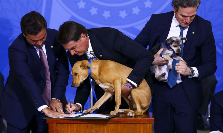 Bolsonaro