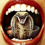 Cobra