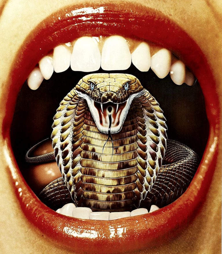 Cobra