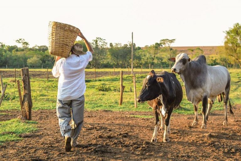 homem do campo