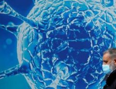 Dengue pode fornecer imunidade contra a covid-19, diz estudo