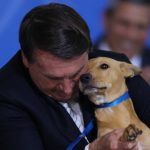 Bolsonaro