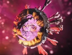 Finalmente: Cientistas descobrem gene misterioso no vírus da covid-19