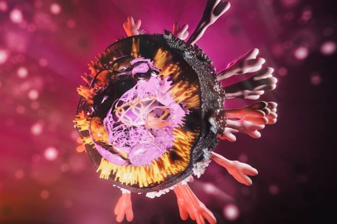 coronavirus