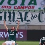 Palmeiras
