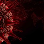 Coronavirus cepa nova