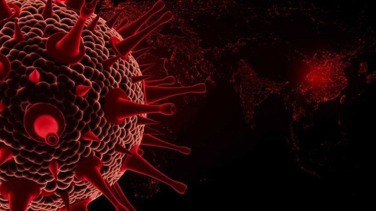 Coronavirus cepa nova