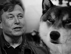 ECONOMIA: Endereço com 36 bilhões de dogecoins envia mensagens secretas para Elon Musk