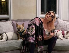 FAMA: Cachorros de Lady Gaga são devolvidos após roubo em Los Angeles