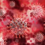 Novo Virus