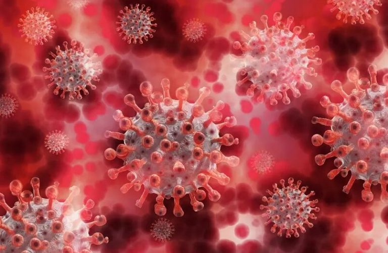 Novo Virus