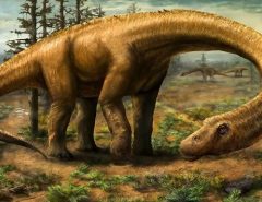 PATAGÔNIA: Titanossauro descoberto na Argentina é exemplar mais antigo da espécie