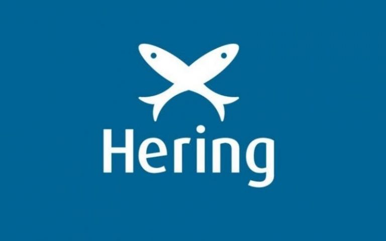 logo hering