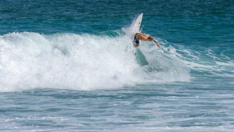 Surfe