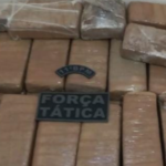forca-tatica