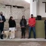 cachorro
