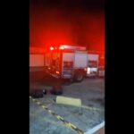 incendio alecrim