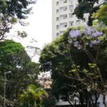 predio-credito-da-foto-divulgacao